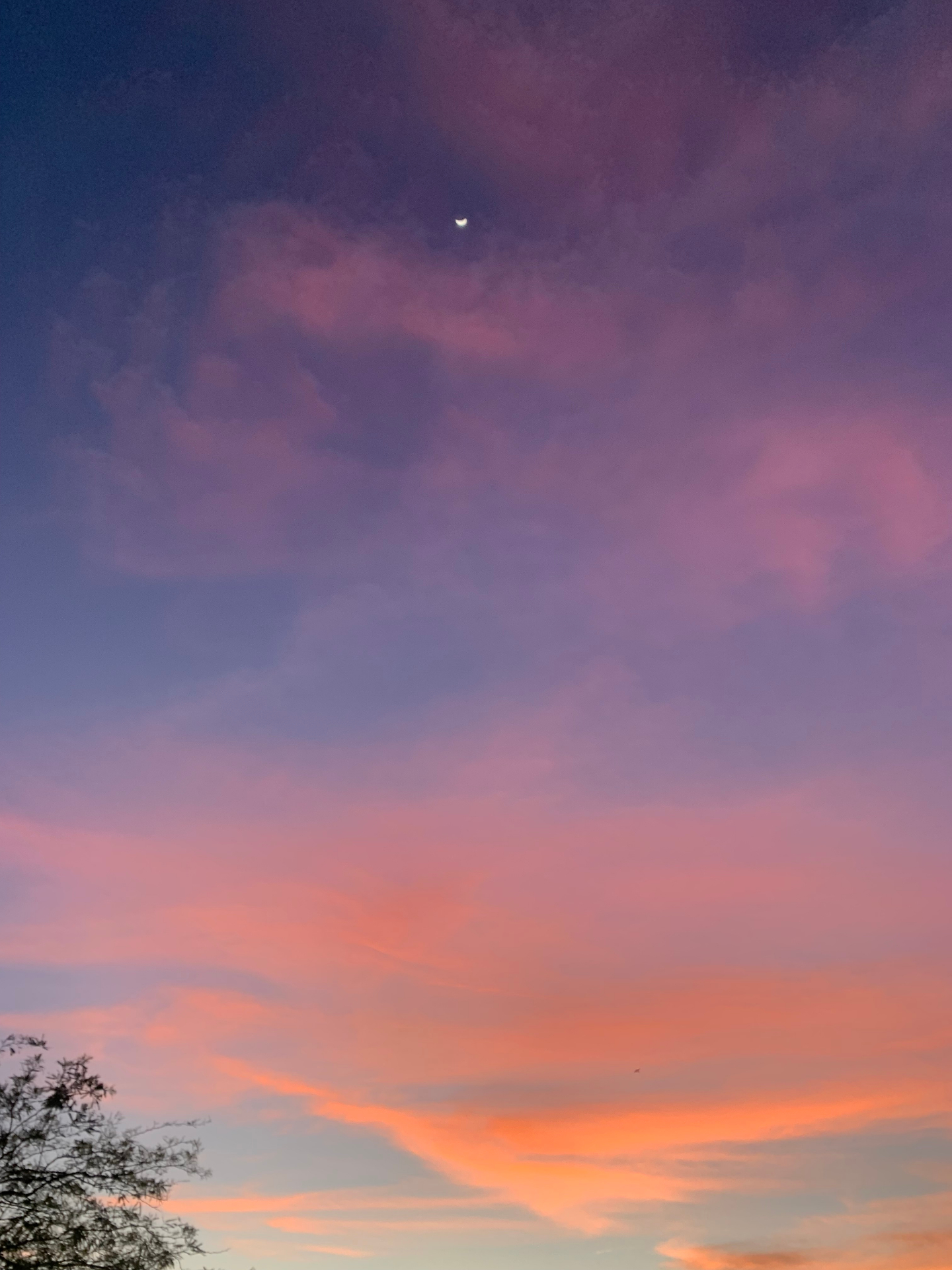 Crescent moon over a pink and orange Tucson sunset sky